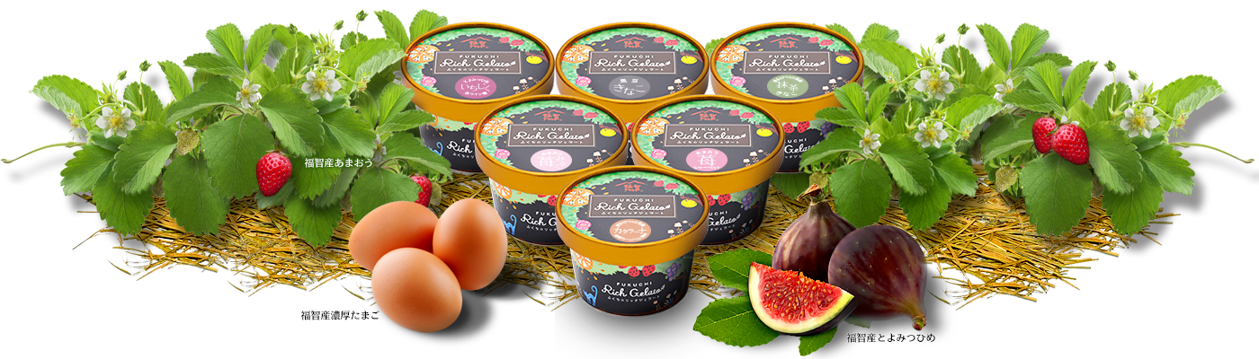 FUKUCHI Rich Gelato のカップと福智産の素材